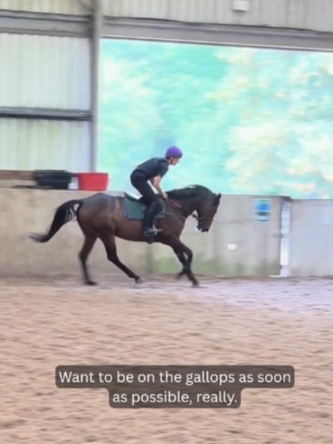 @National Horseracing College