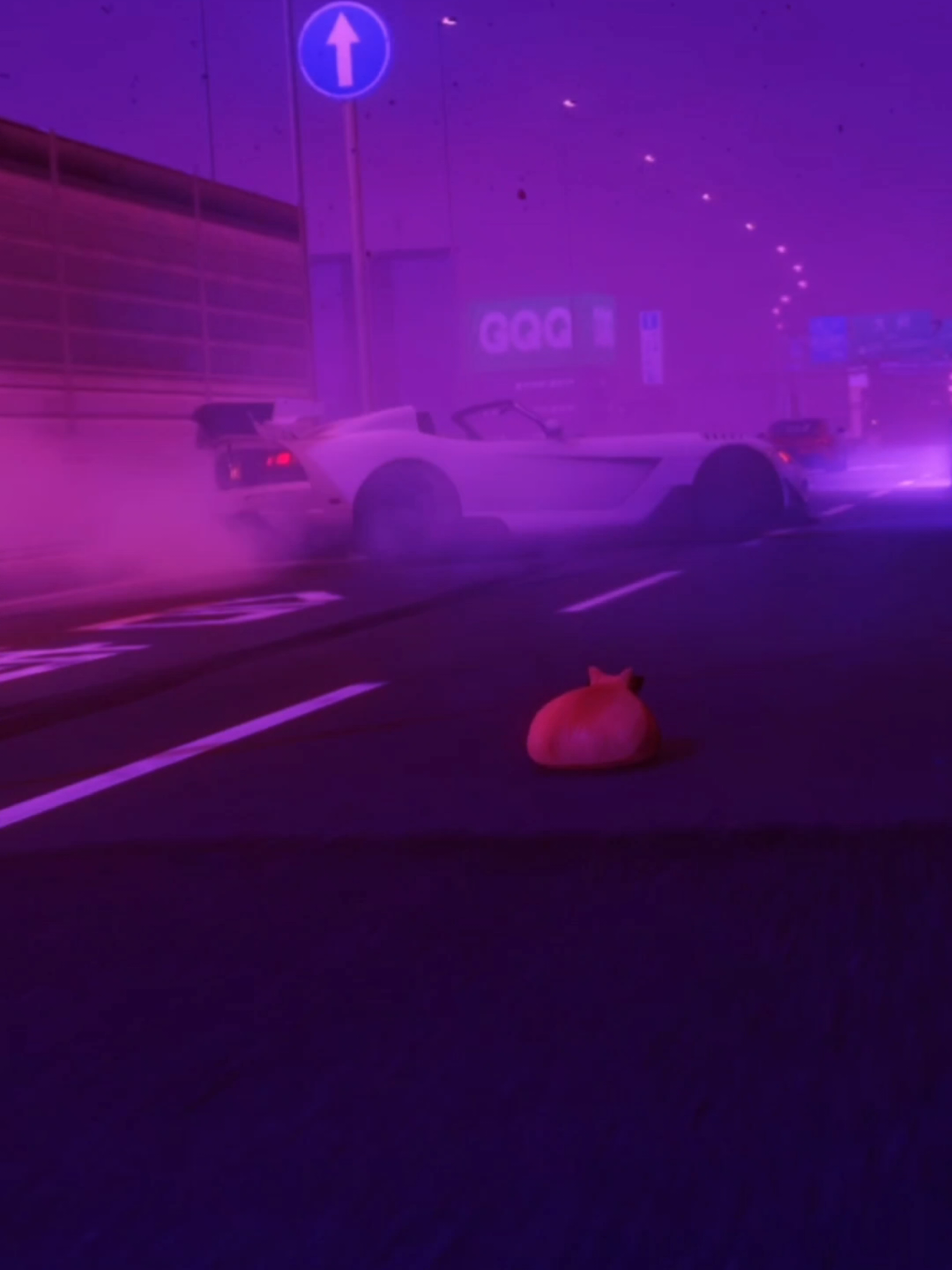 @Pablo the Race Cat
