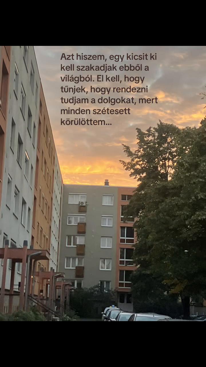 @Mercike Horváth