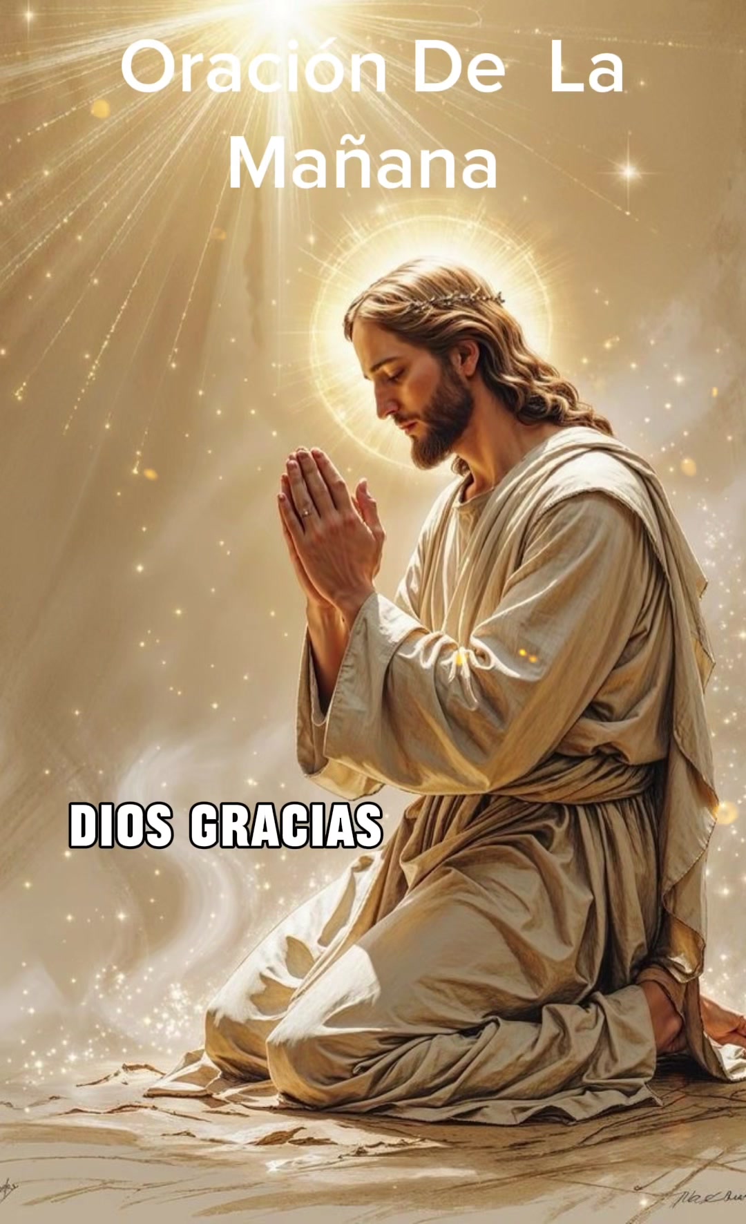 @elrosariodecadadia