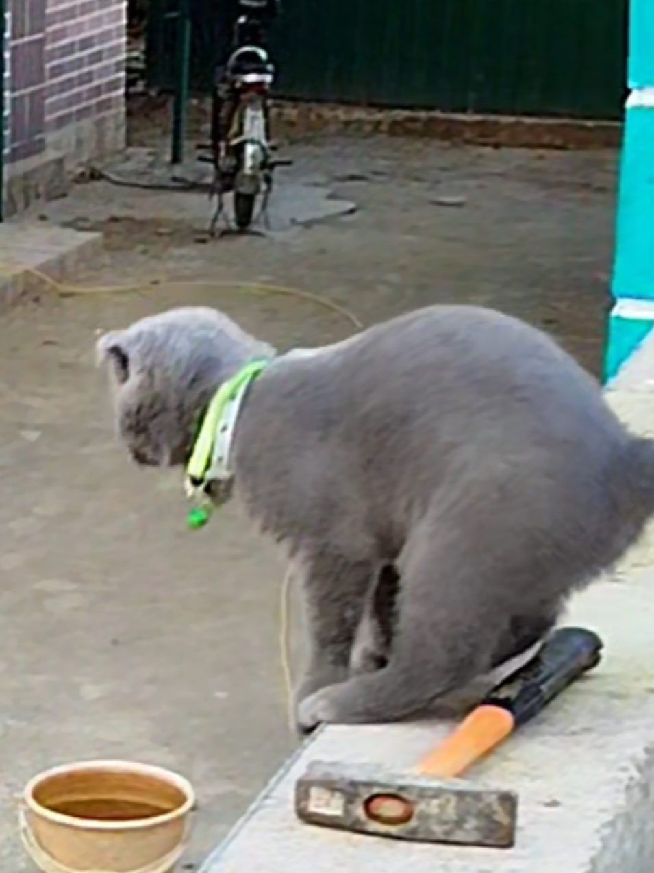 @😻Риччи&Джесси🐈Масик👼&Андрей
