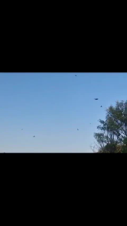 @_Gurbet_