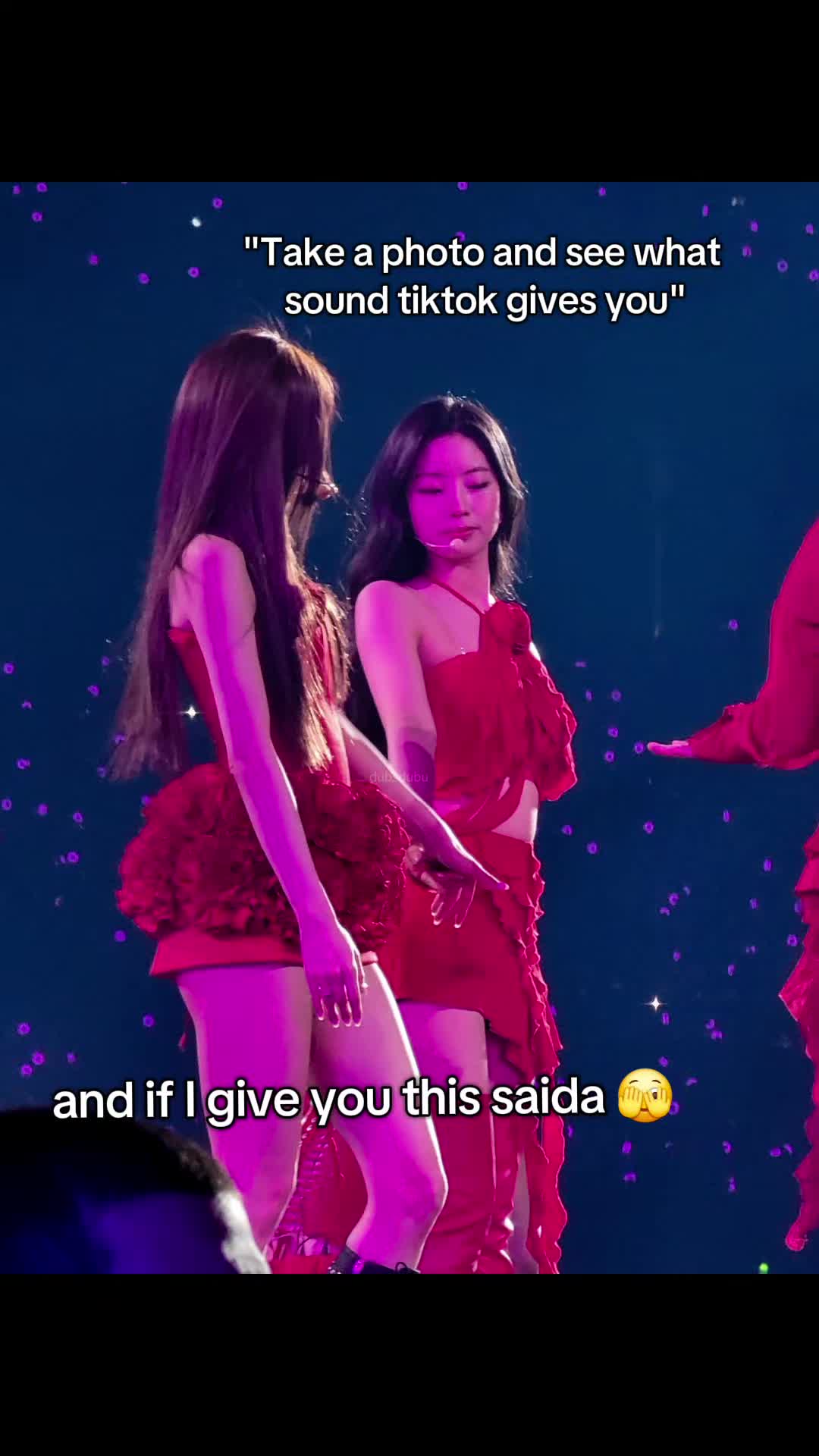 @kit 🦥