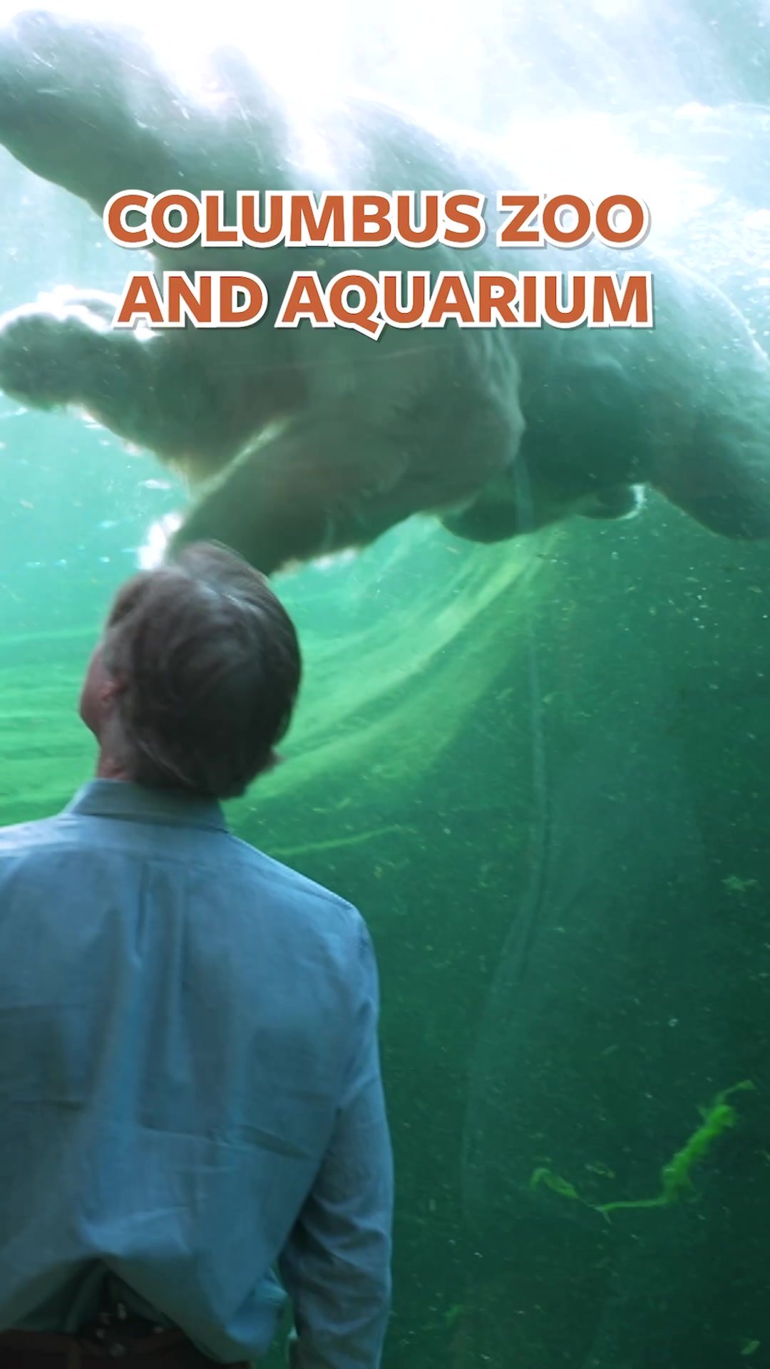 @Mutual of Omaha's Wild Kingdom