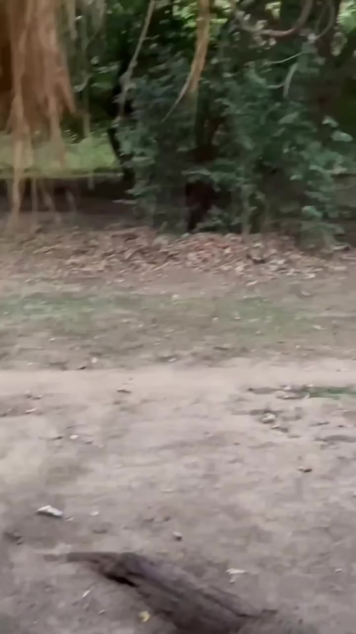 @La Hora Oculta