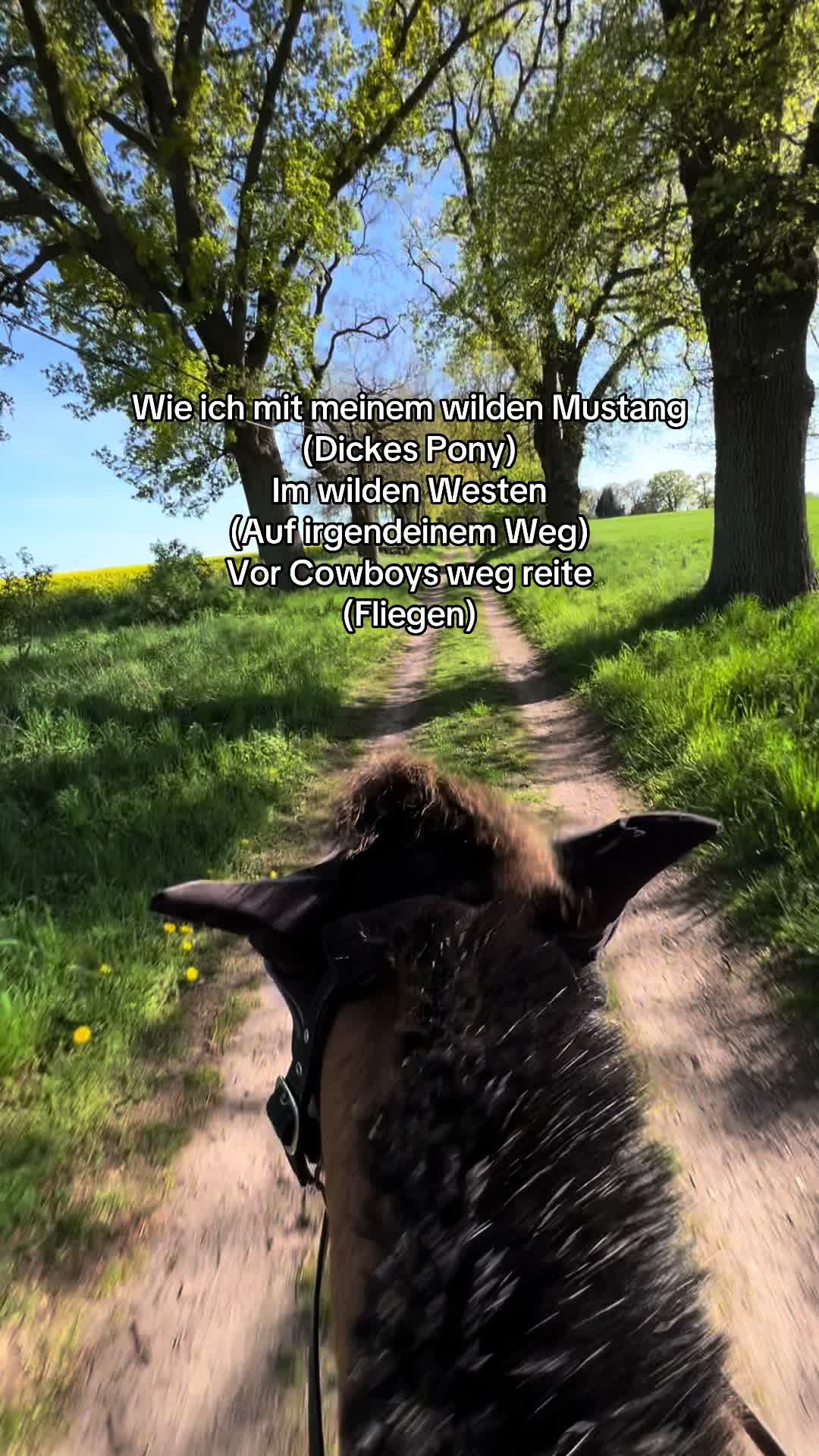 @𝑴𝒂𝒚𝒂