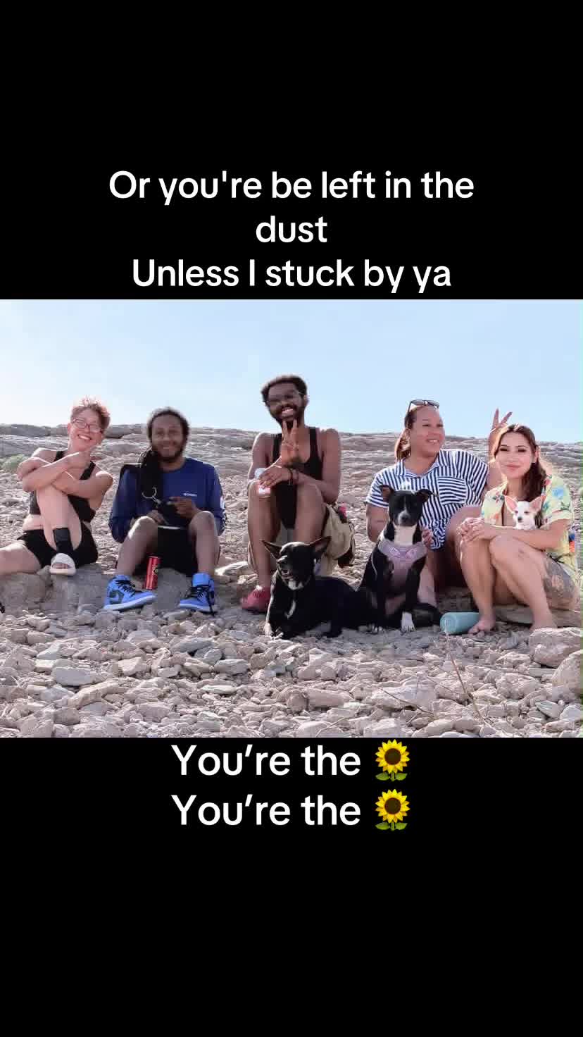 @Light1144
