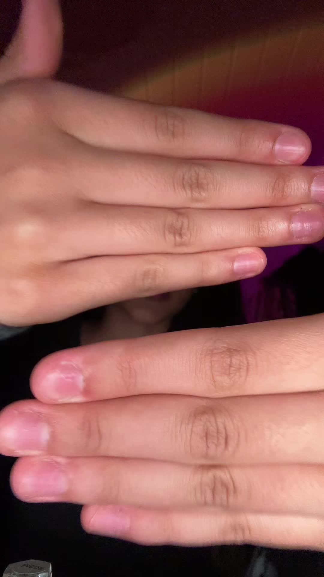 @fridgecookie