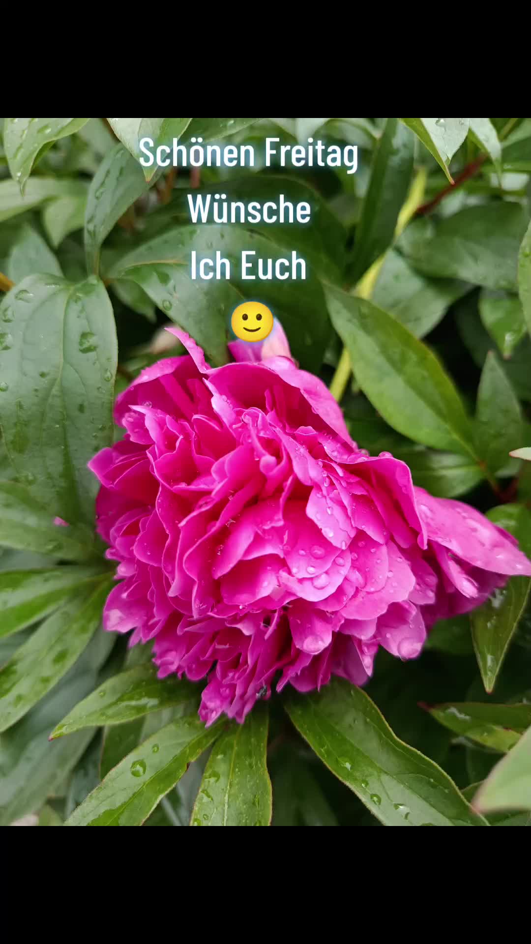 @44OLA4