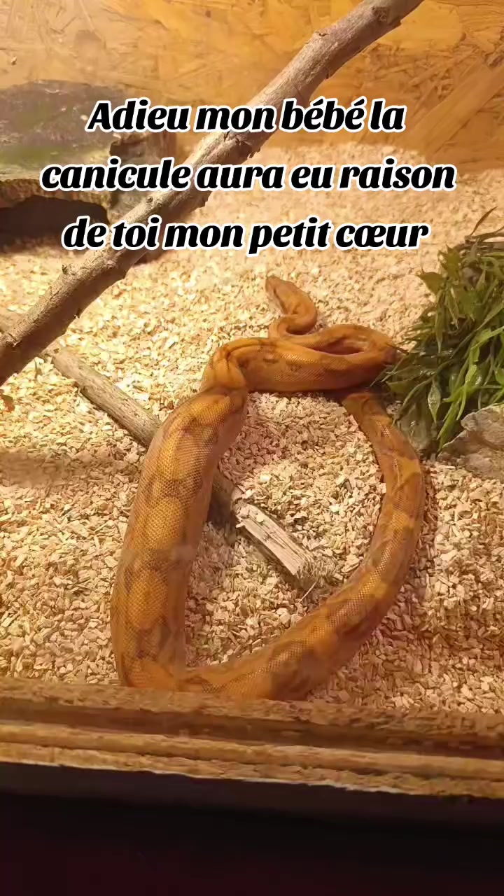 @๐ท๐๐๐๐๐ ๐๐๐ ๐๐๐๐๐