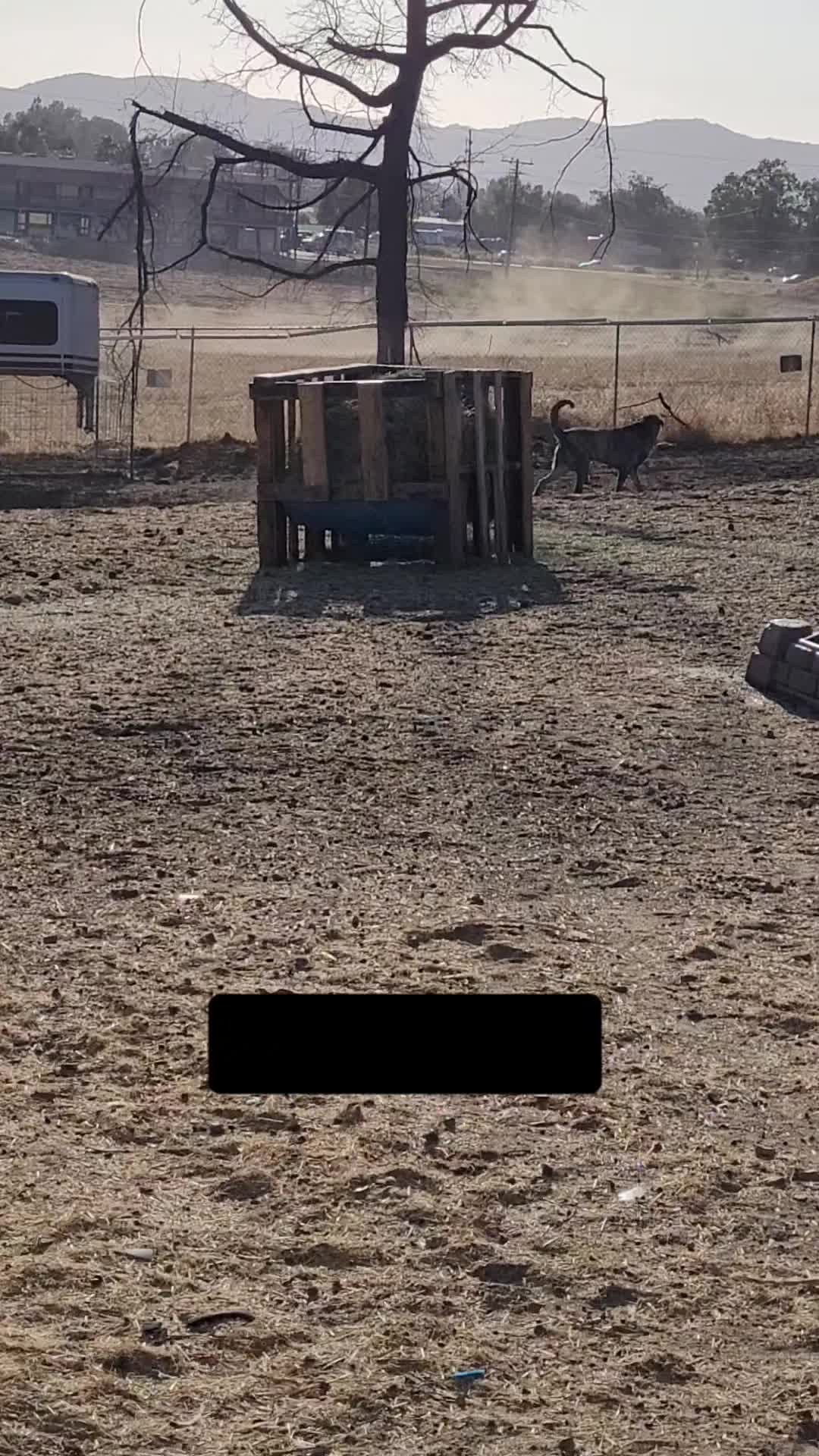 @VioletHorizonsFarm