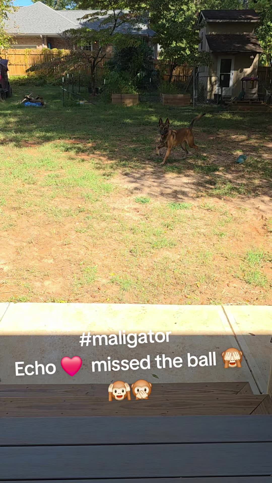 @Echo!