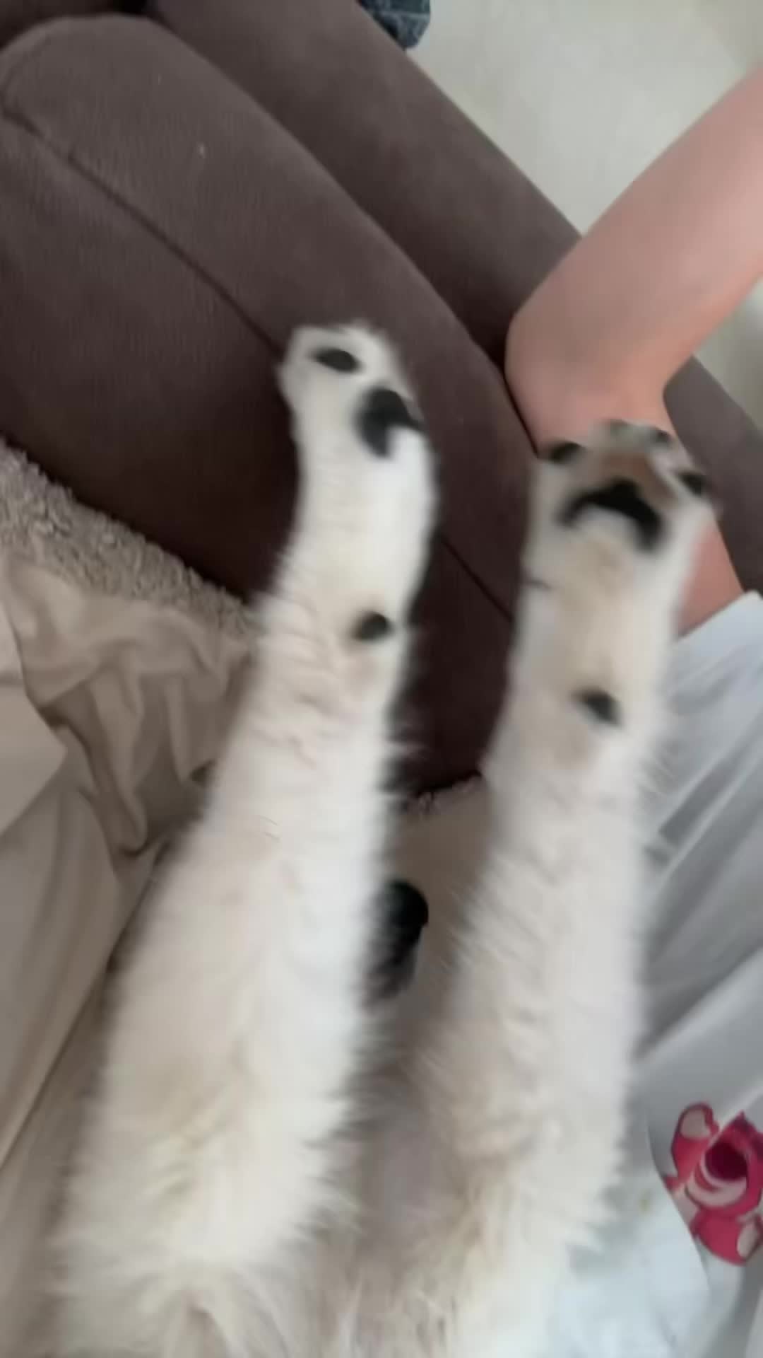 @Dlbshanon