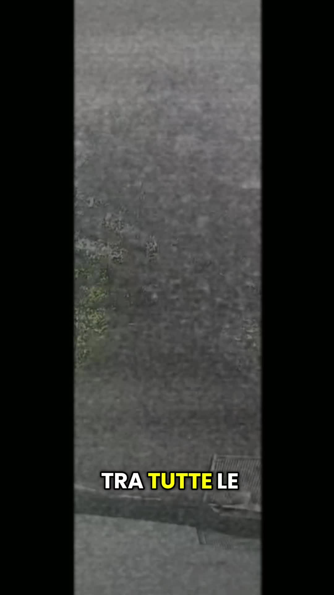 @𝘔𝘰𝘯𝘪𝘢 𝘈𝘷𝘰𝘭𝘪𝘰