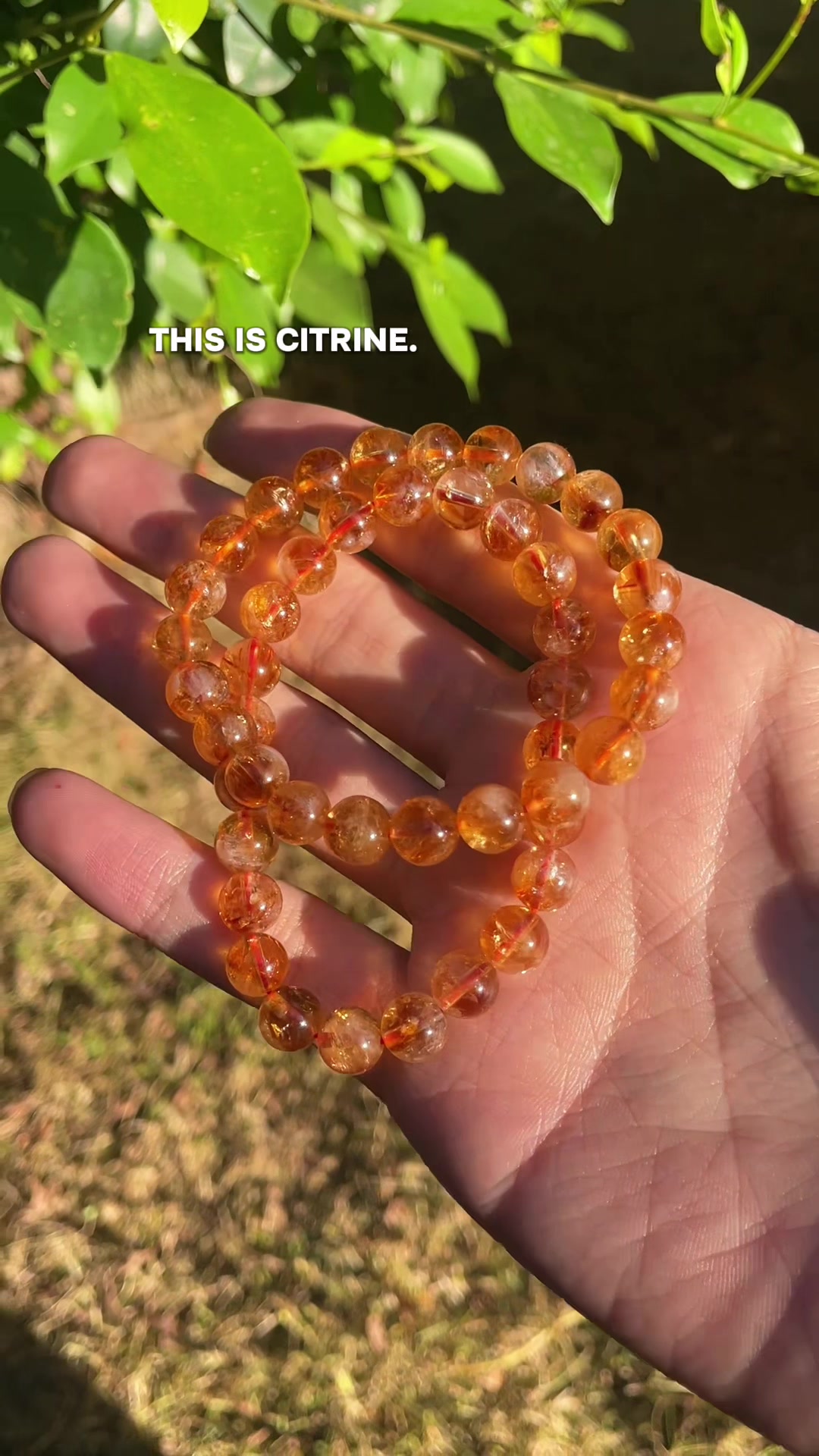 @ORVEL GEMS
