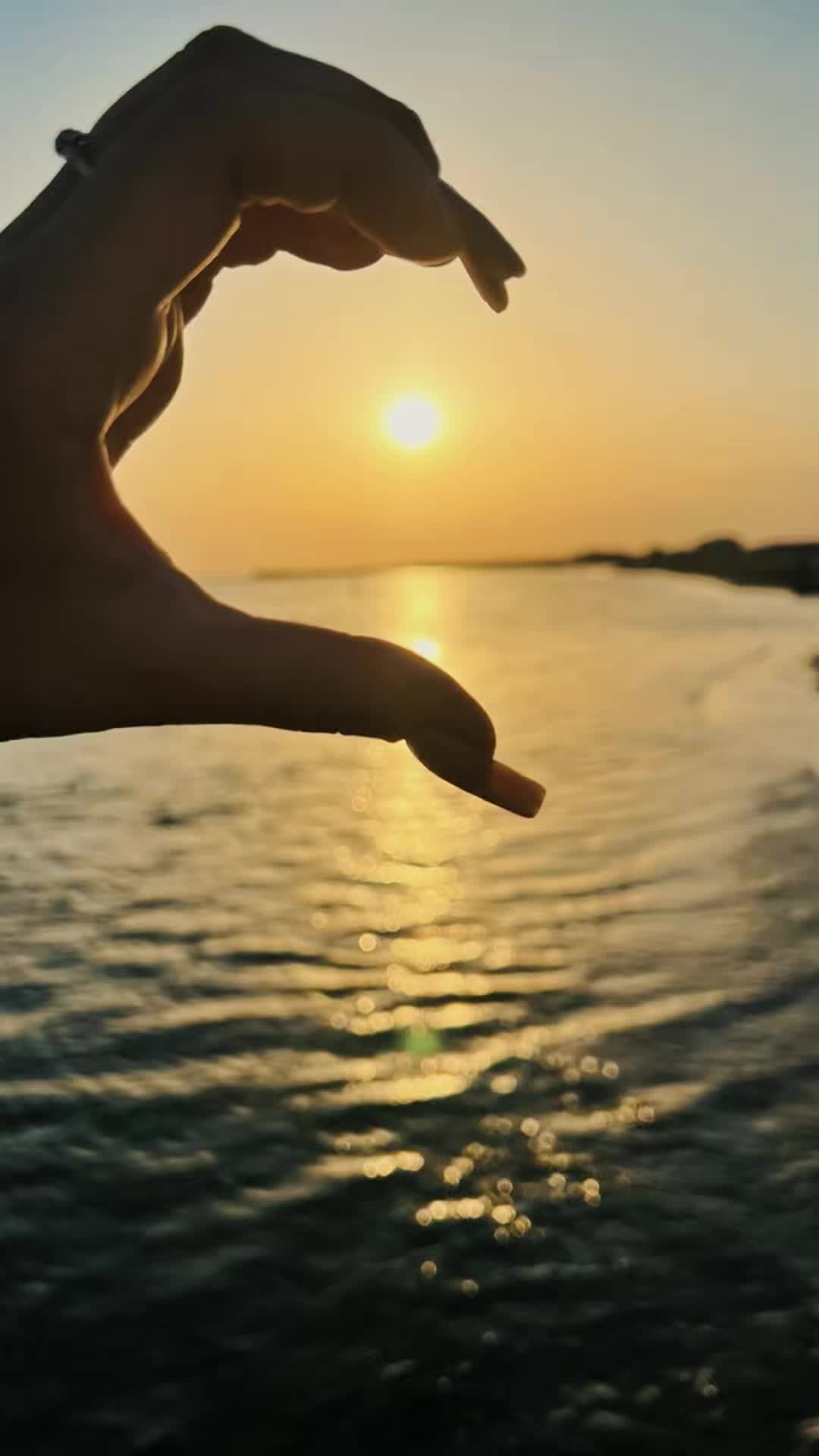@M&oacute;nica Fonseca