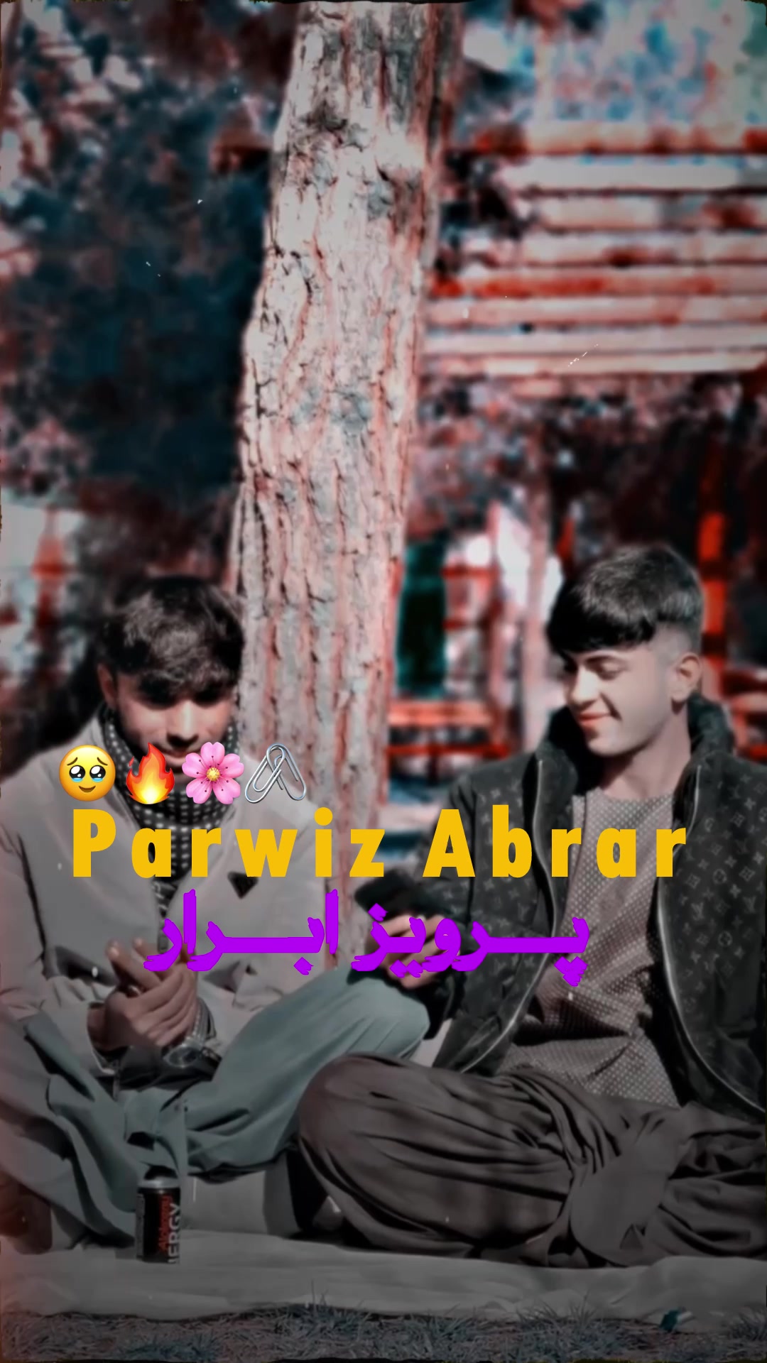 @پرویز ابرار 🌙