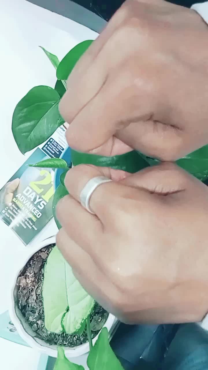 @चान्द-तृशा ❤️❤️😘😘🤗🤗🤗
