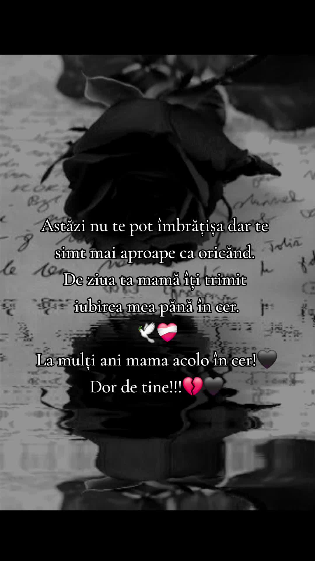 @🖤Reniozan🖤