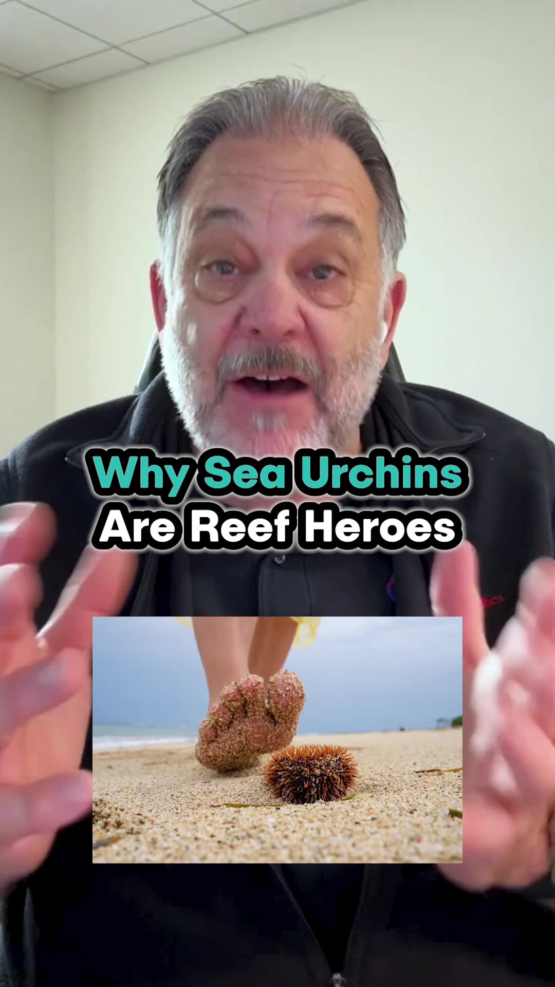 @DrTim