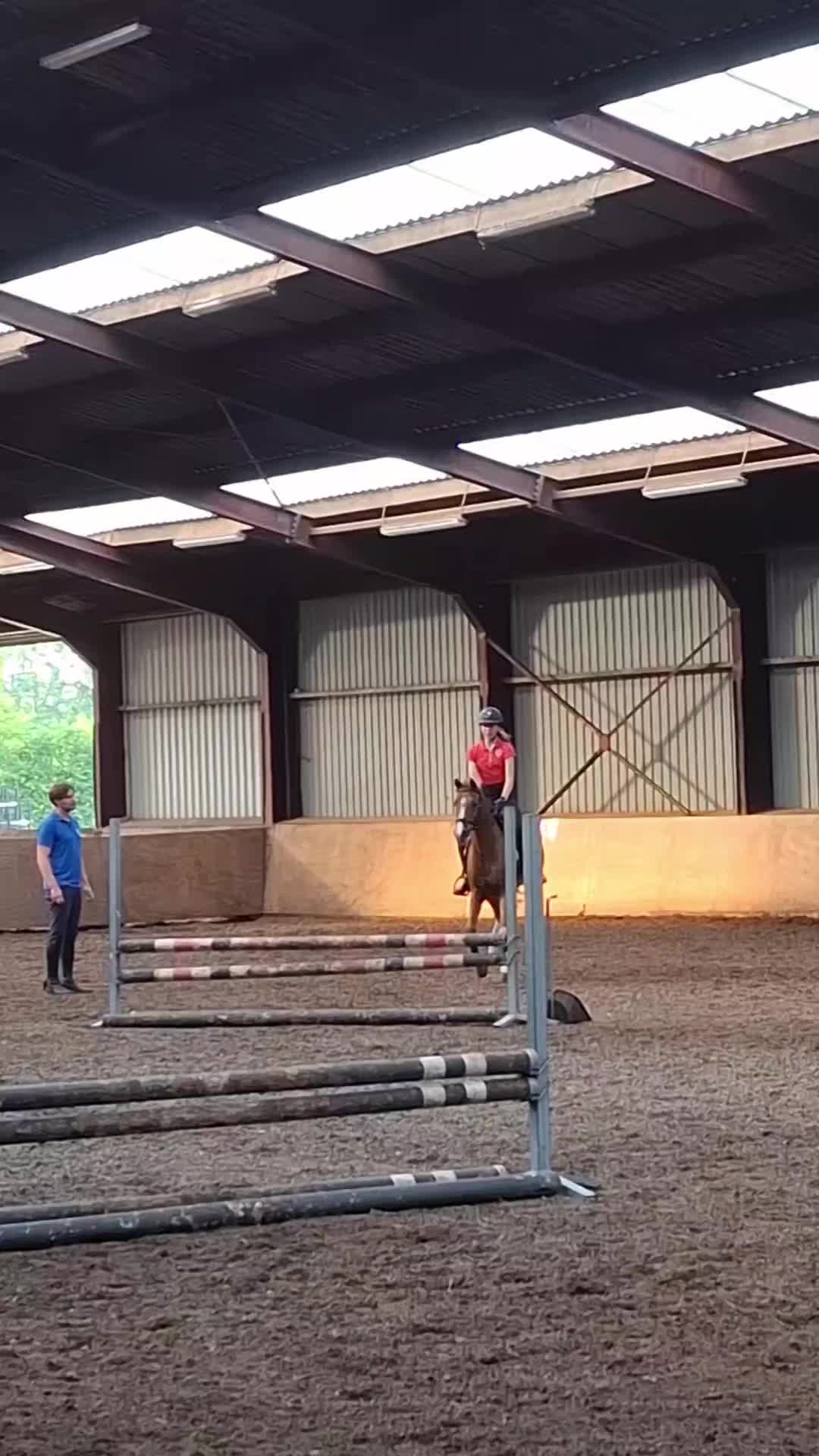 @horses.by.Britt:)