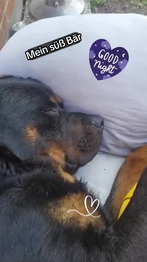 @💝Olle💜Emma🤎Fritz💟Mutti💌