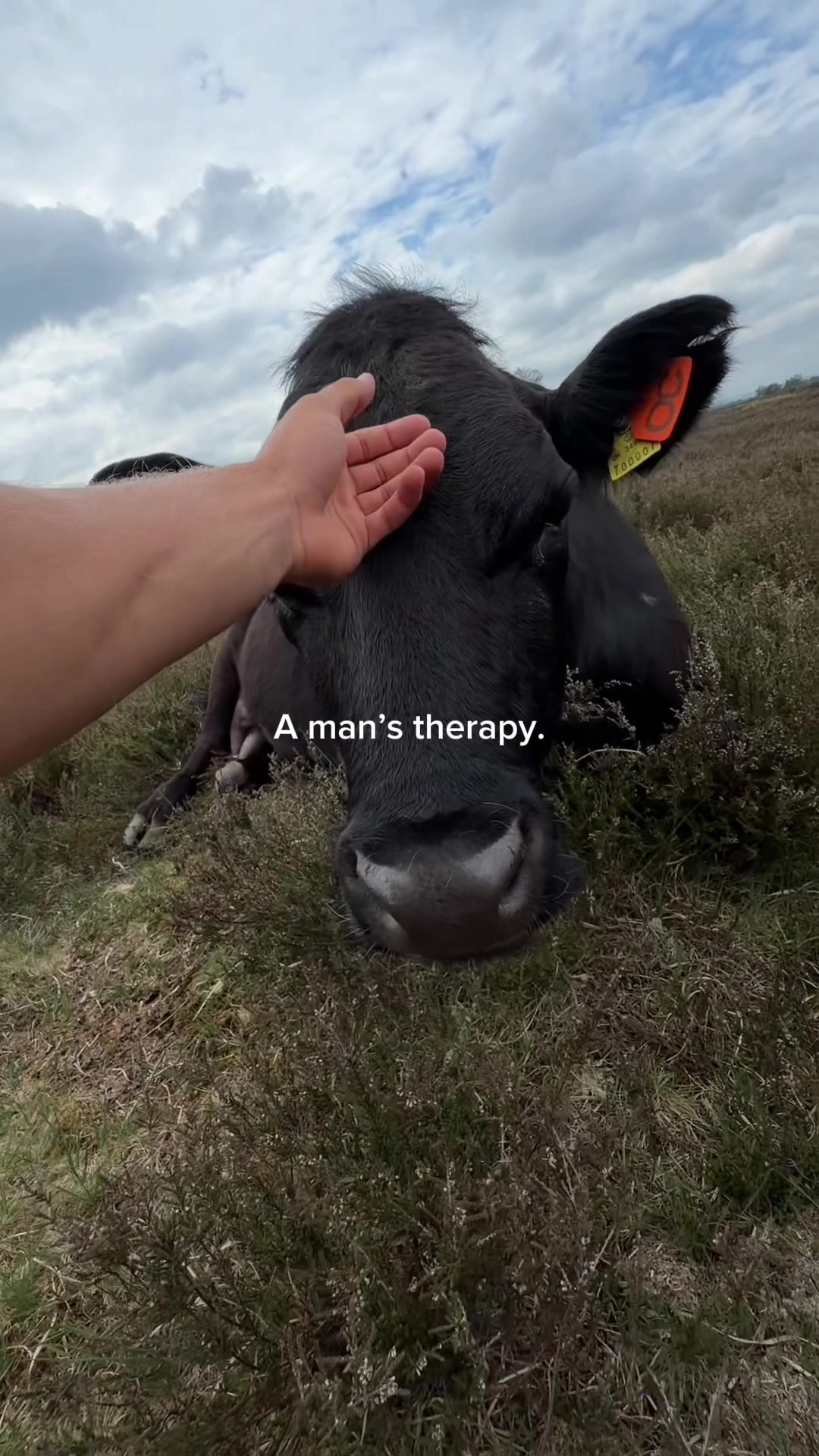 @Baby