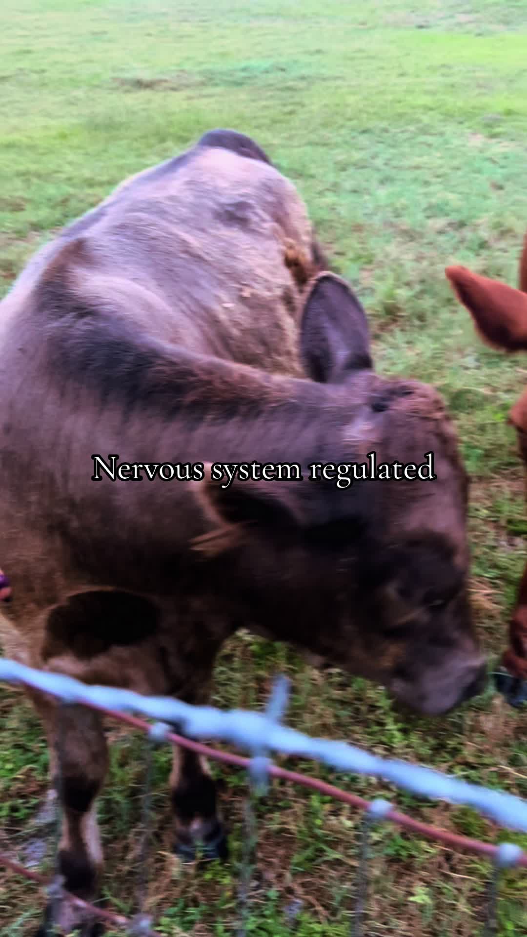 @KEᑎᗪᖇᗩᗩ
