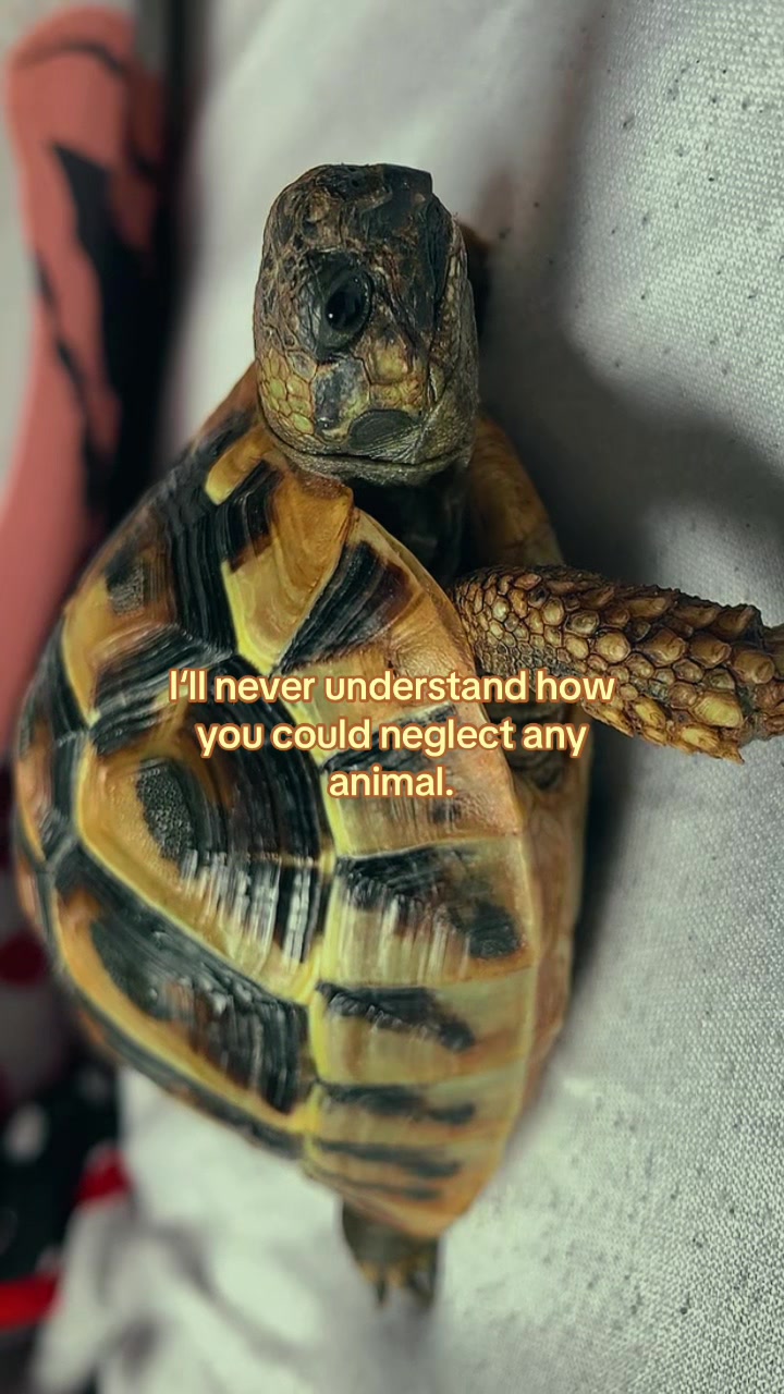 @🕷️Eliah&mdash;🐌