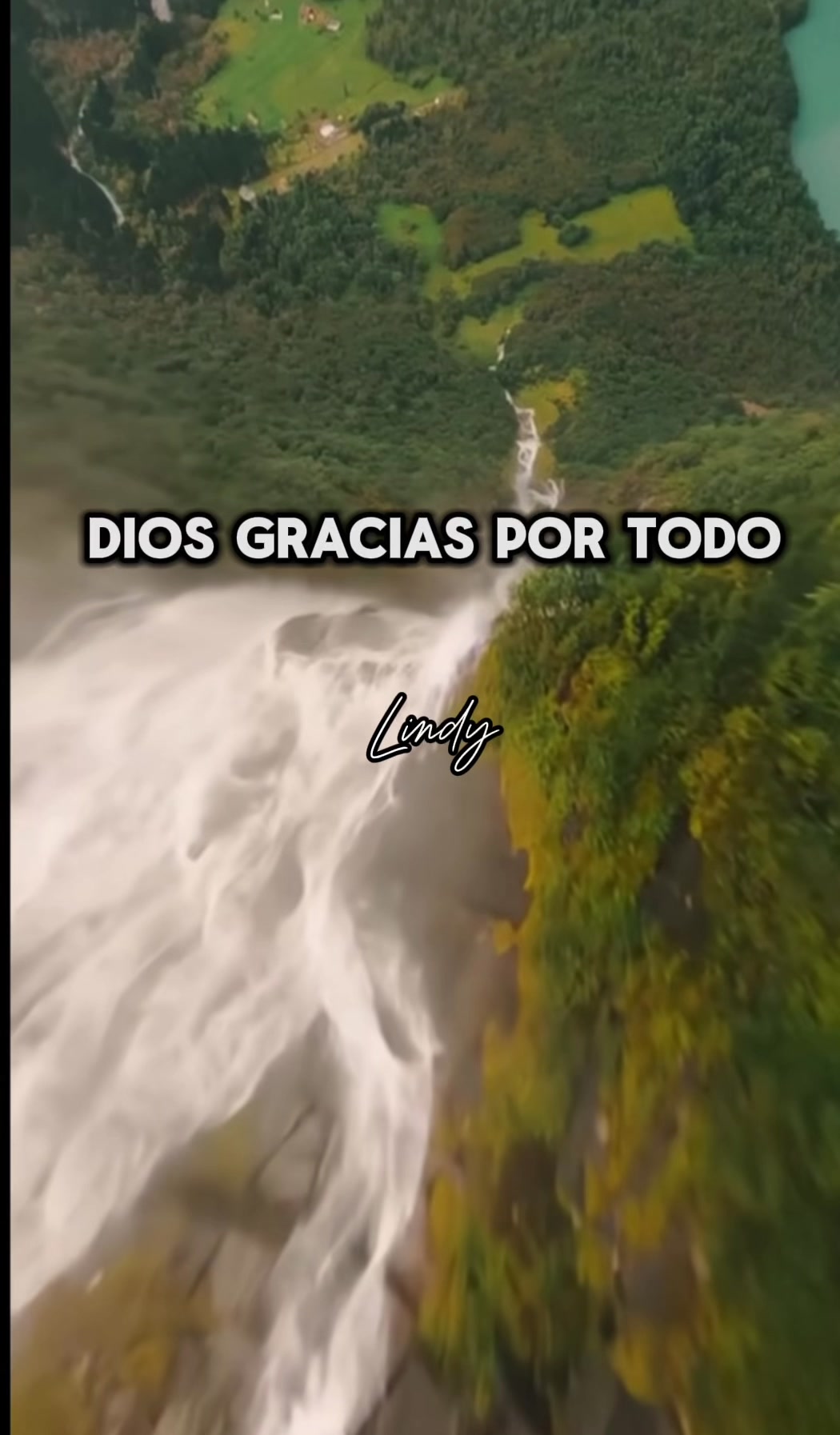 @lianet