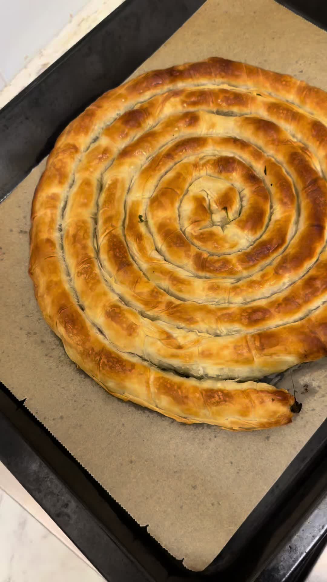 @سارة البرعصي