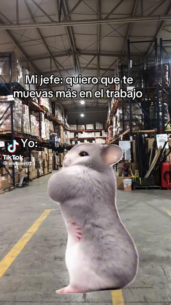 @Adriana Hernadez