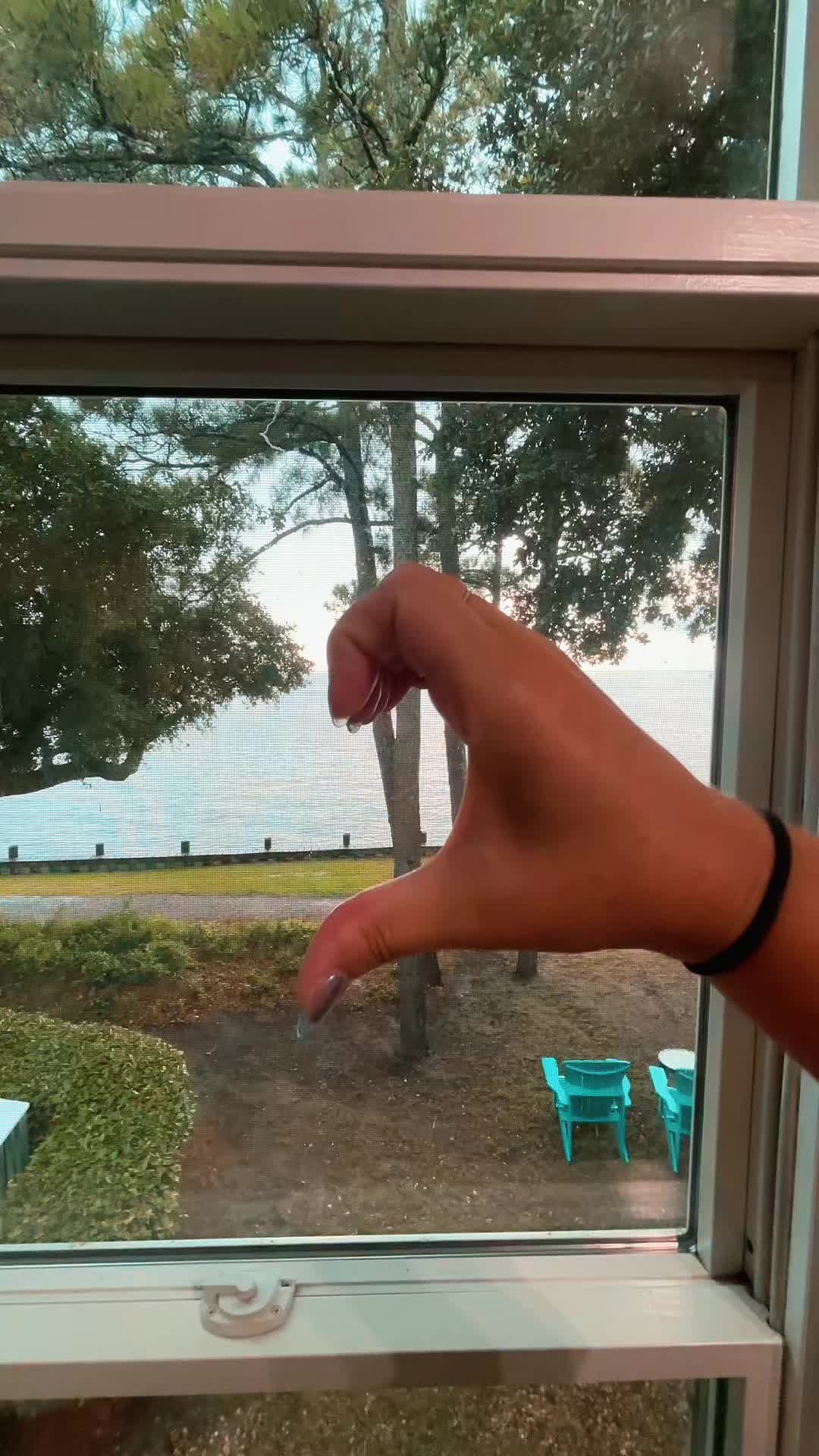 @tierneyalyssa