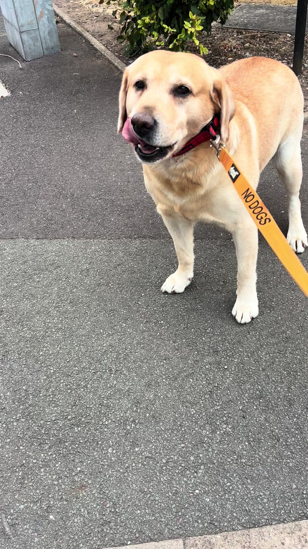 @Marley..🐾❤️