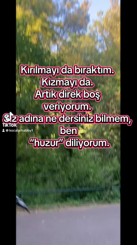@Biricik Habby