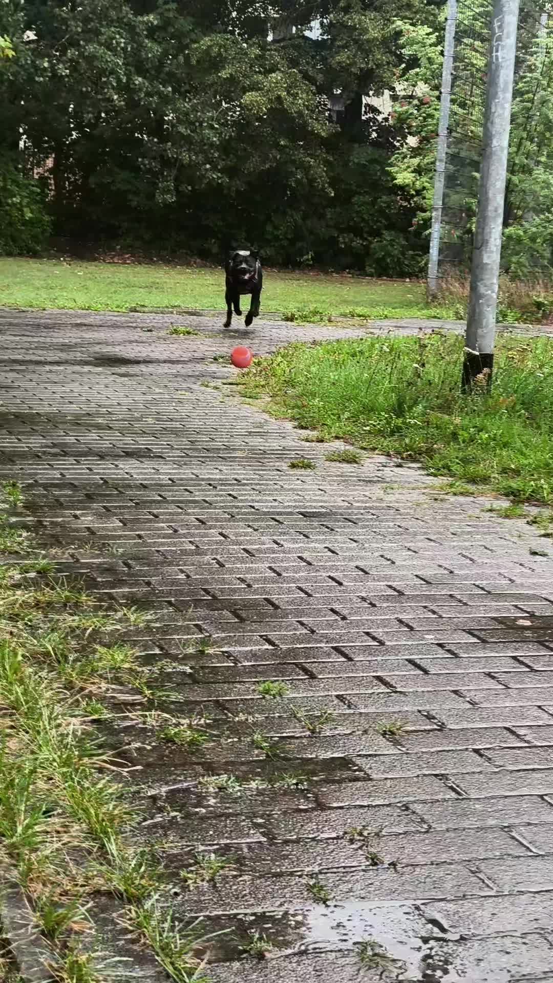 @♈𝑴𝒂𝒕𝒛𝒊𝑴𝒂𝒕𝒛𝒆♈