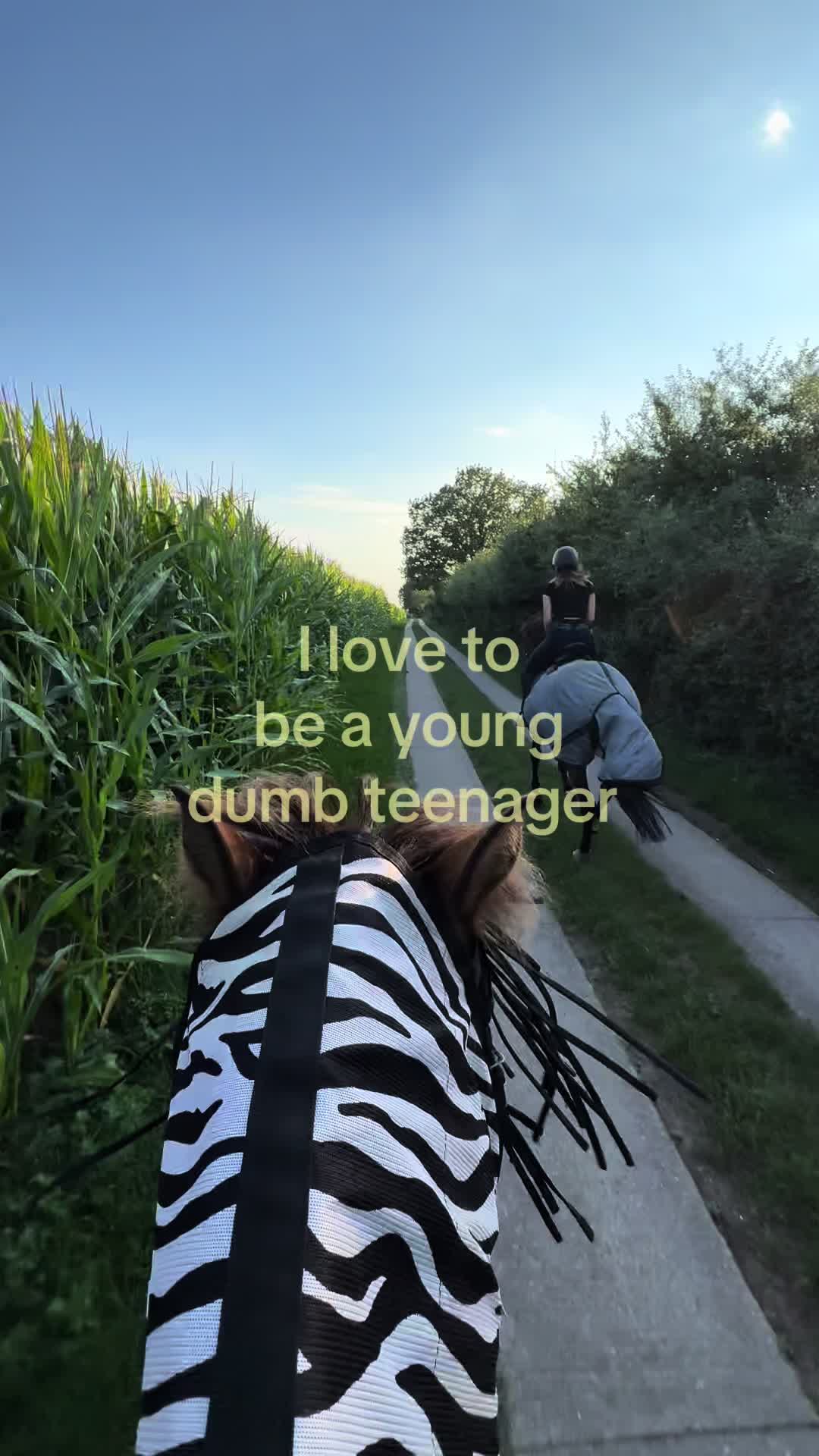 @𝖬𝖺𝗒𝖺 ❦