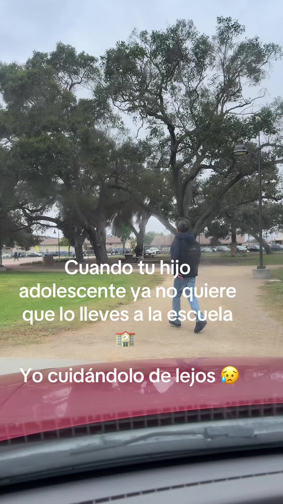 @luz Altamirano