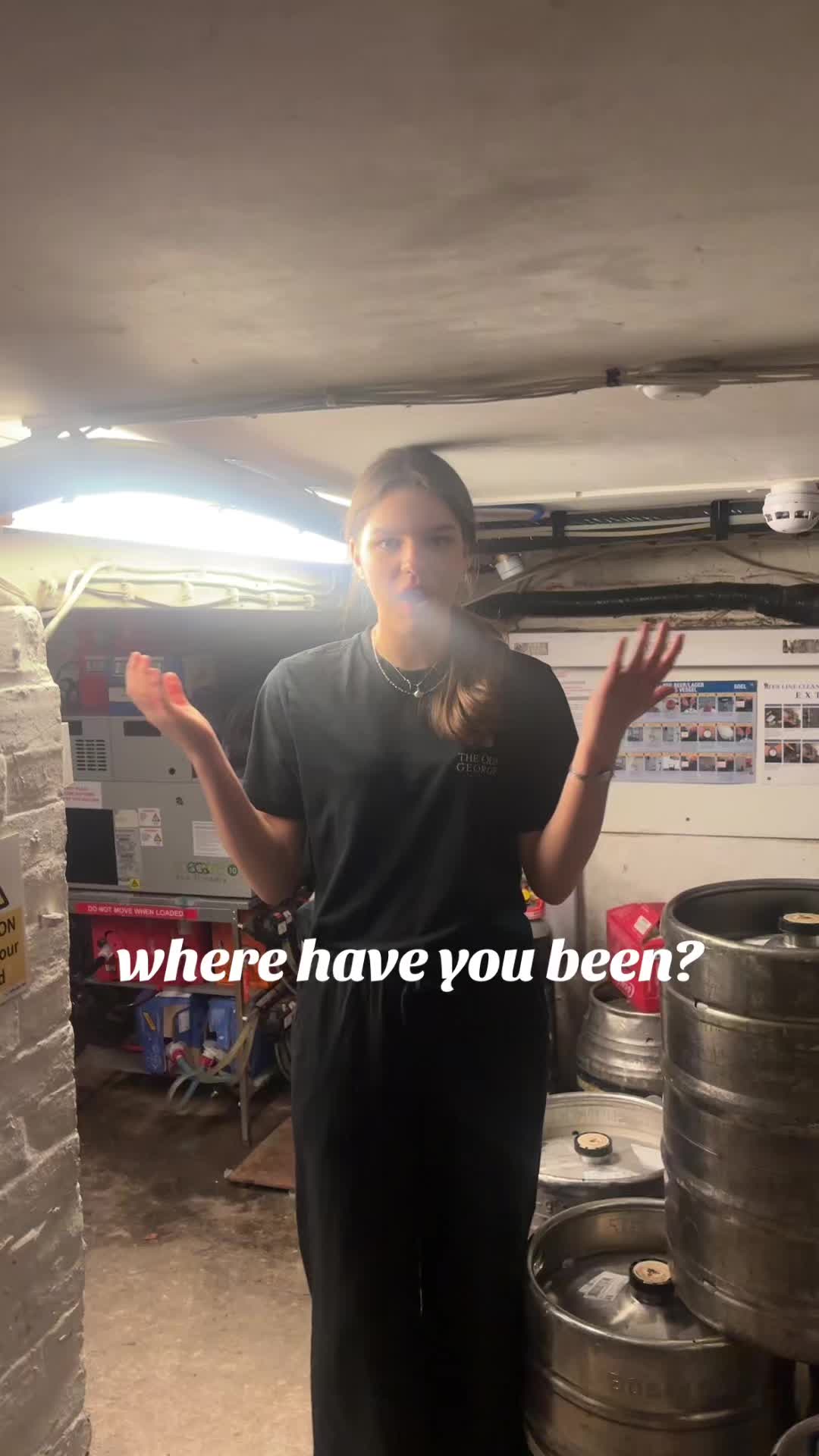 @TheFox_pub