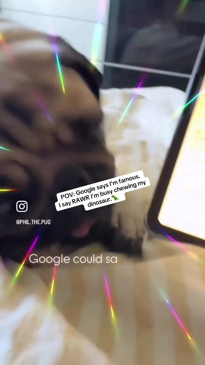 @Phil The Pug