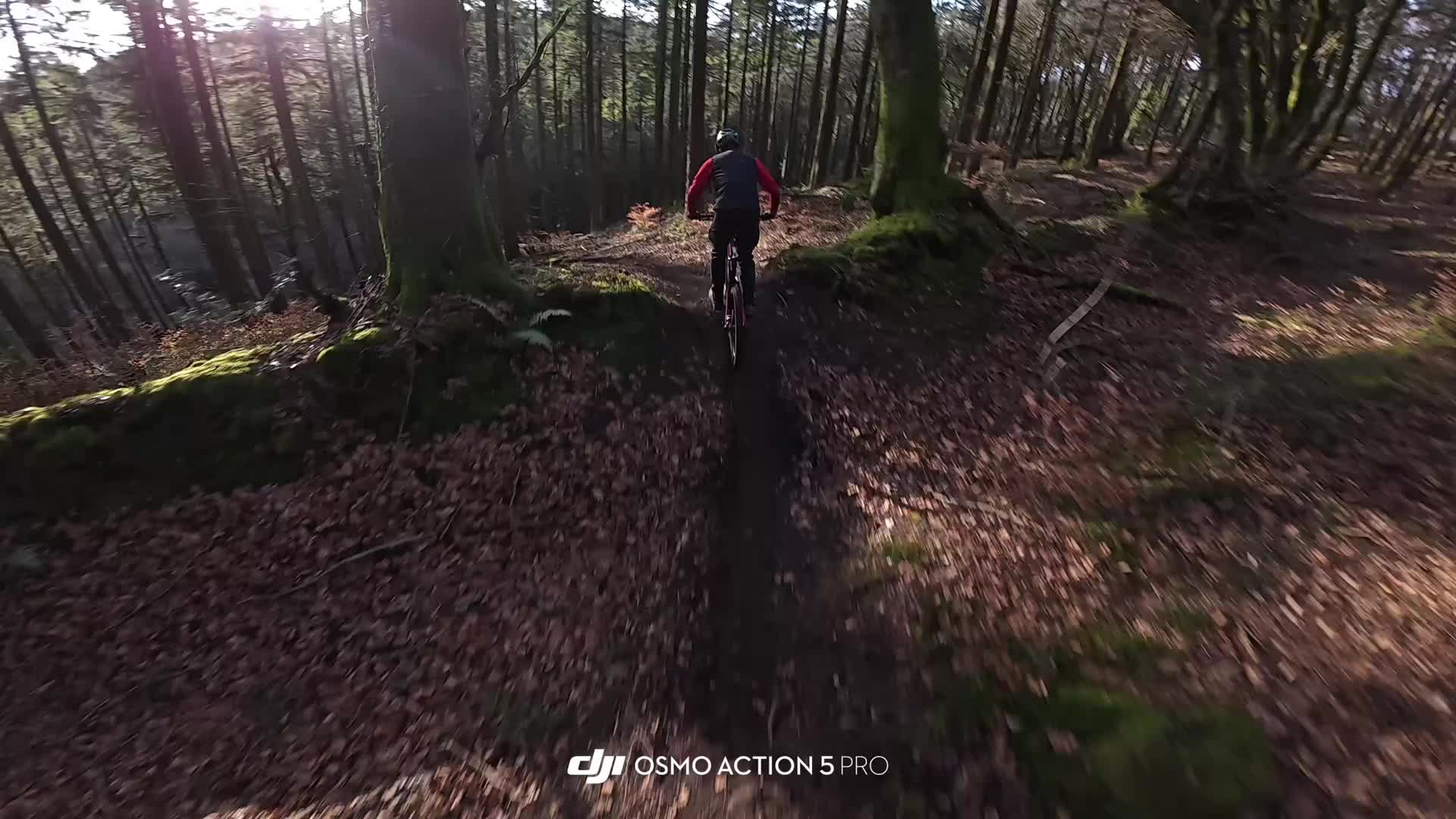 @tobyy🌲