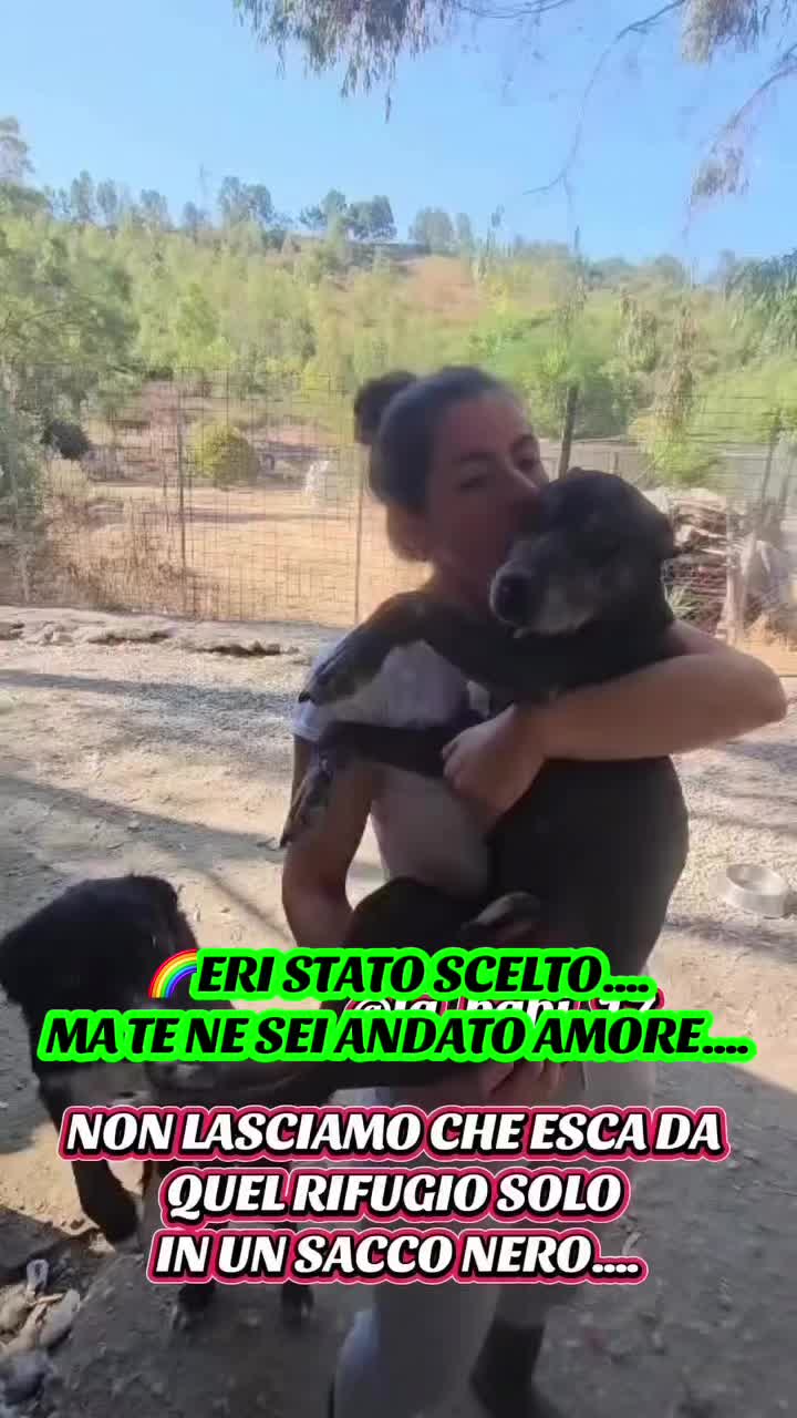 @la_babi_17
