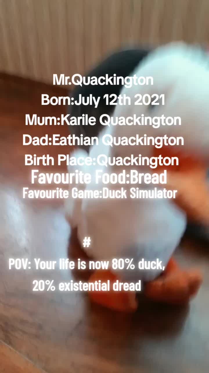 @GeorgeQuackingtonThe3rdReal