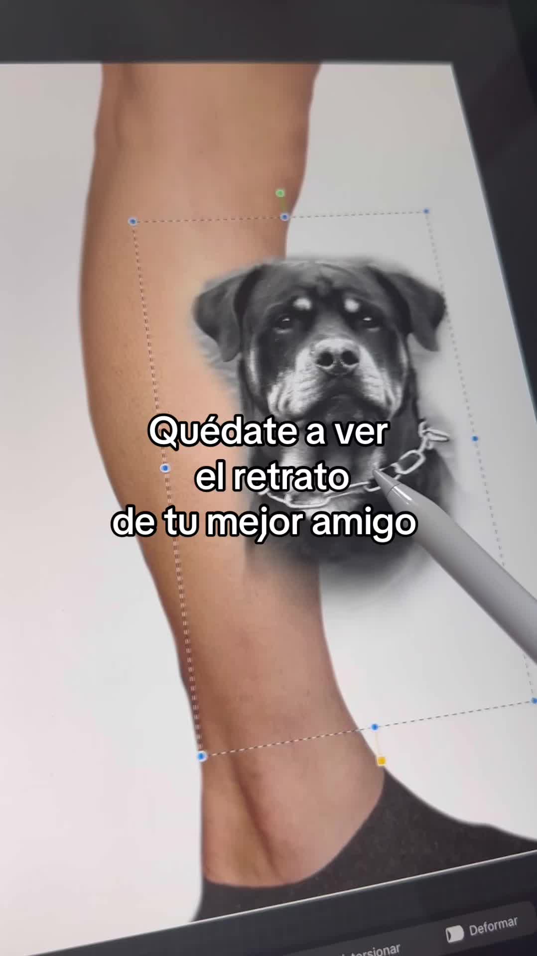 @Pira_tattoo