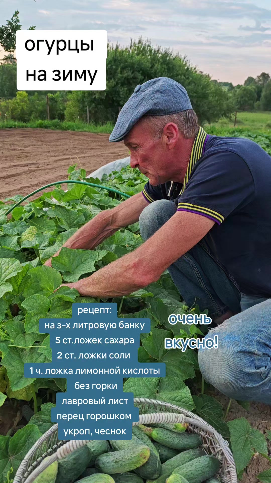 @Картофель Могилёв