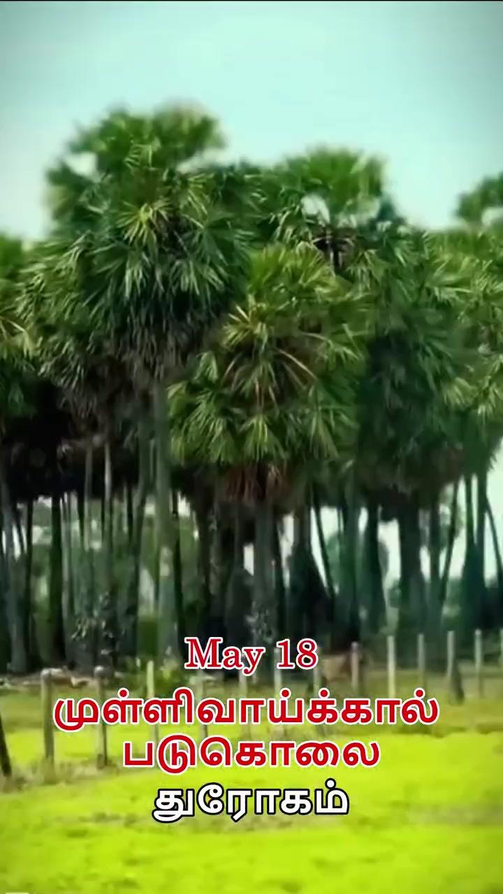 @🕉️🔱சிவன்மகள்🔱Ammu🫶🏼Sk🫂💚