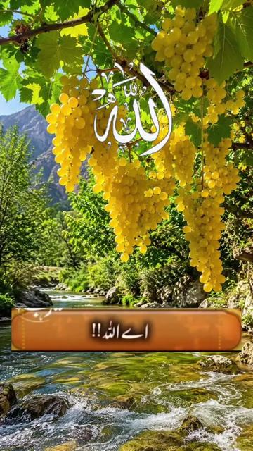 @madinamunawar7