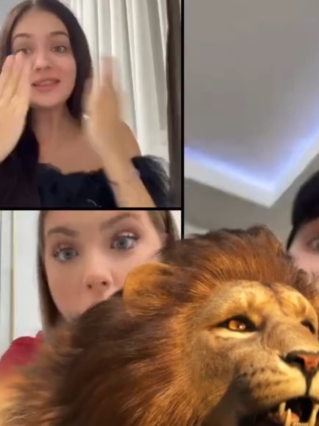 @April 🦁🤍