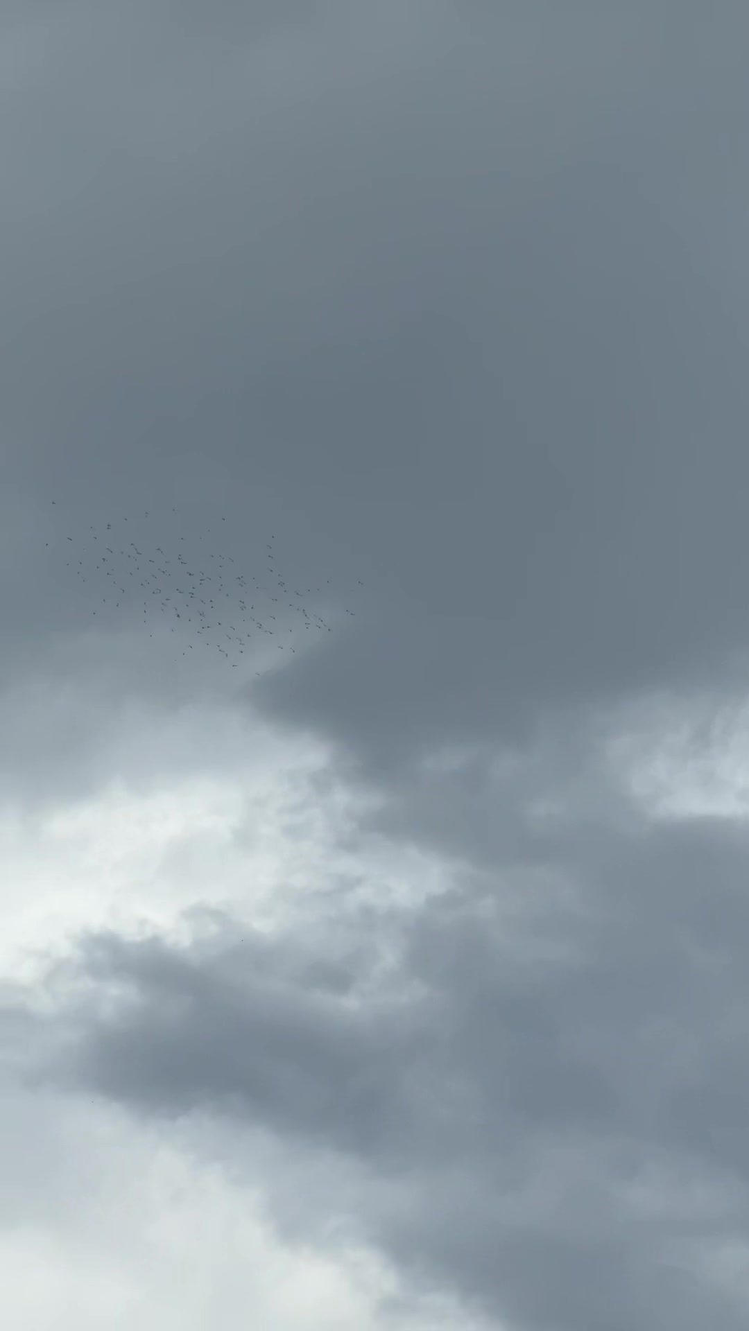 @𝓙𝓾𝓵𝓲𝓮𝓽 𝓕𝓸𝓻𝓮𝓼𝓽