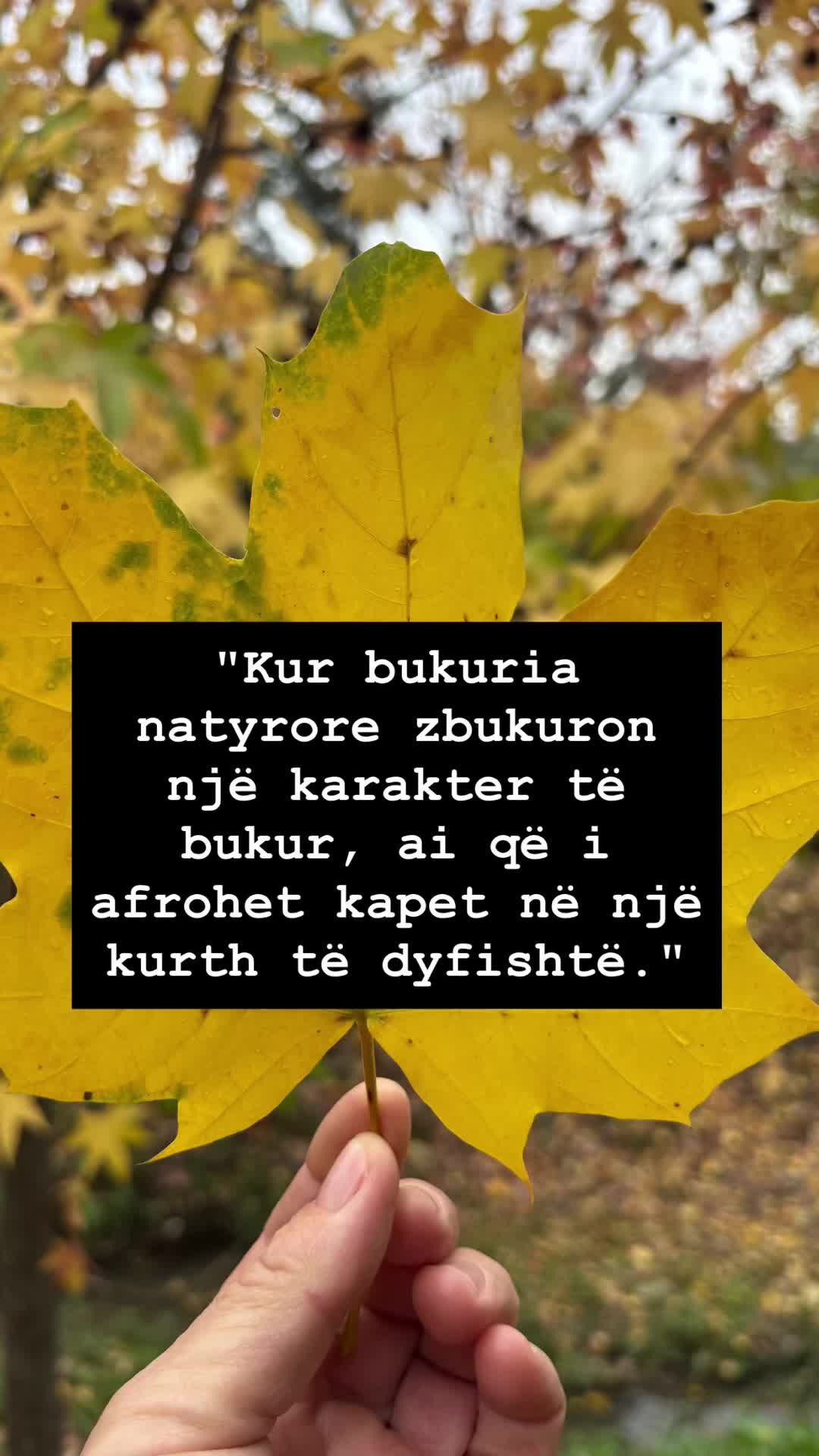 @🦋💎🇦🇱MIDE💎🦋🇦🇱